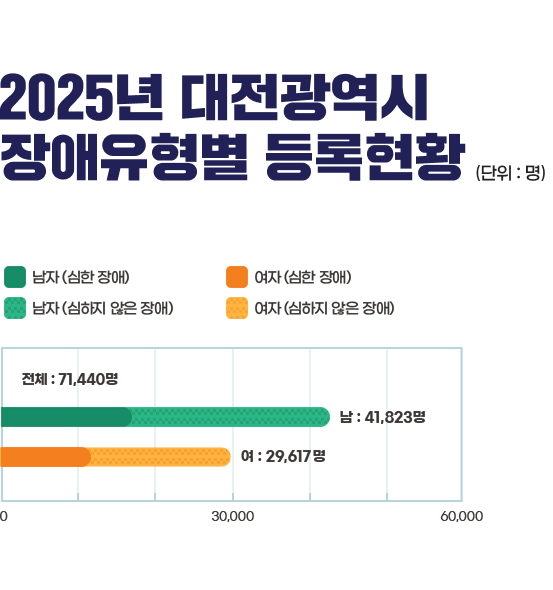 2024년 대전광역시 장애유형별 등록현황 (단위 : 명) 2024.12월 31.기준 - 전체 : 71,440명, 남: 41,823명, 여: 29,617명 