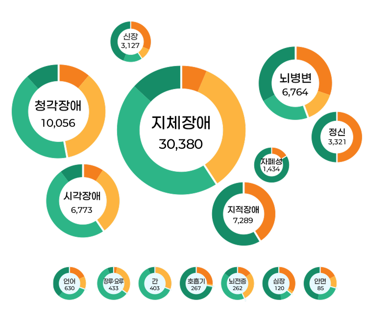 지체장애 30,380, 청각장애 10,056, 뇌병변 6,764, 지적 7,289, 시각장애 6,773, 정신 3,321, 신장 3,127, 자폐성 1,434, 언어 630, 장루·요루 433, 간 403, 호흡기 267, 뇌전증 262, 심장 120, 안면 85